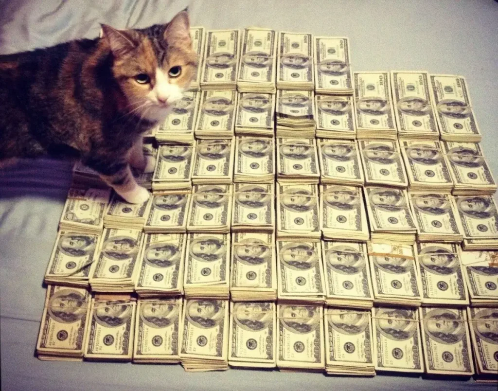 moneycat vay tiền nhanh an toàn trong 5 phút 3 gia han khoan vay moneycat